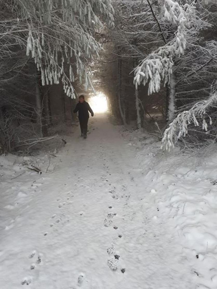 GALLERY | More of your magical Longford Snow Day photos