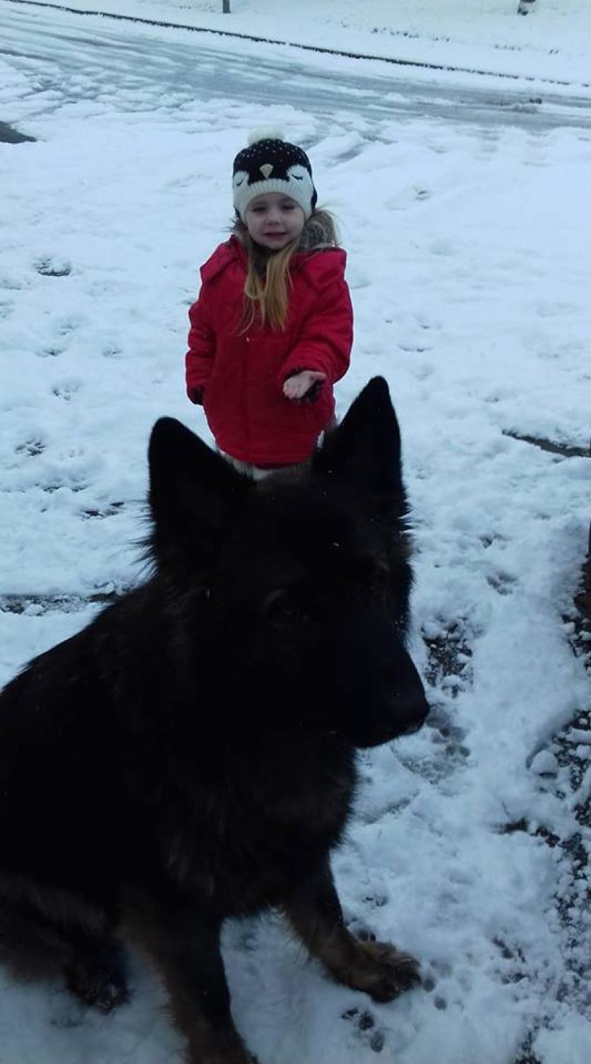 GALLERY | More of your magical Longford Snow Day photos