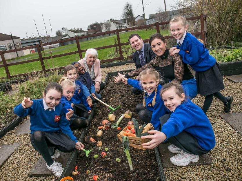 Ready, Steady…Grow! With Agri Aware’s Incredible Edibles programme