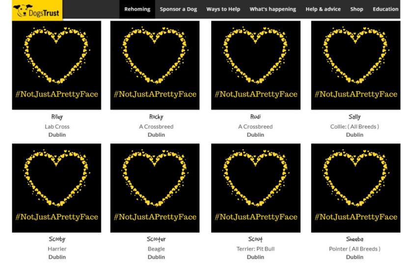 Dogs Trust asks people to let their head rule their heart this Valentine’s Day!