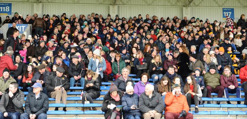 GALLERY | Spot yourself in the crowd as Mullinalaghta made the trip to Tipp