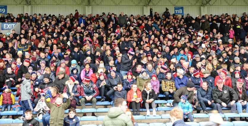 GALLERY | Spot yourself in the crowd as Mullinalaghta made the trip to Tipp