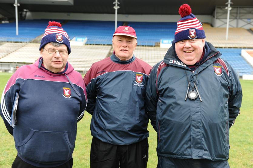 GALLERY | Spot yourself in the crowd as Mullinalaghta made the trip to Tipp