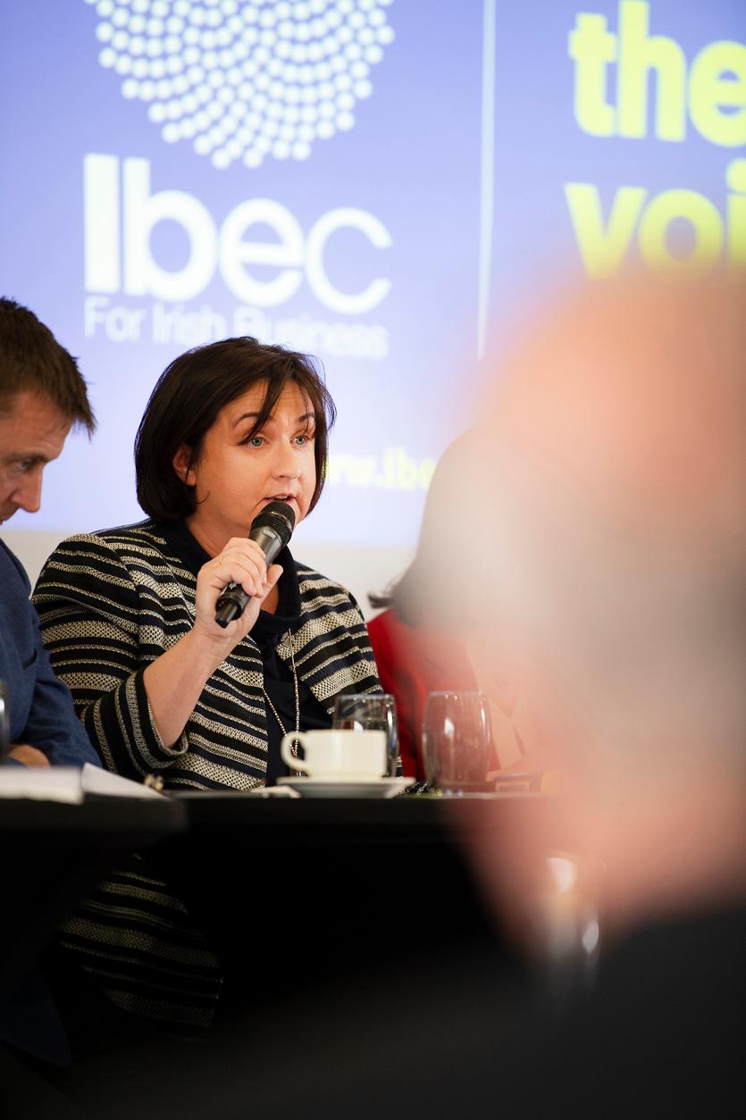 Euro candidates highlight key concerns for Irish business community at Ibec debate