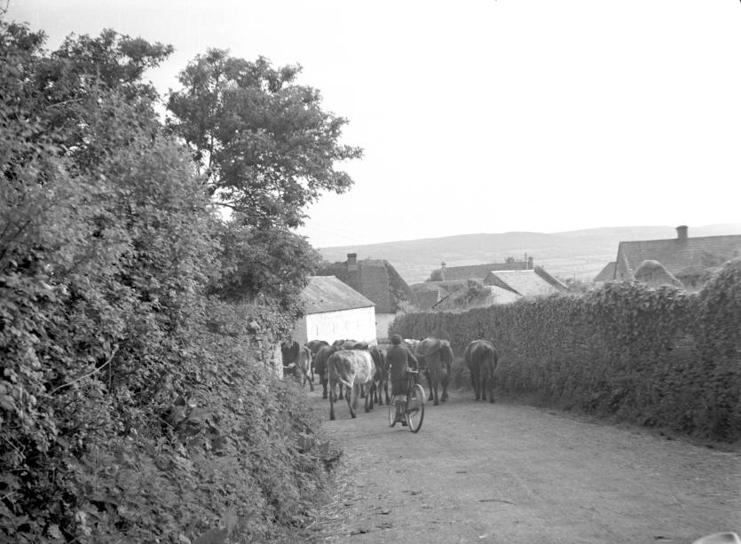 Wonderful memories from Longford included in new National Museum of Ireland book
