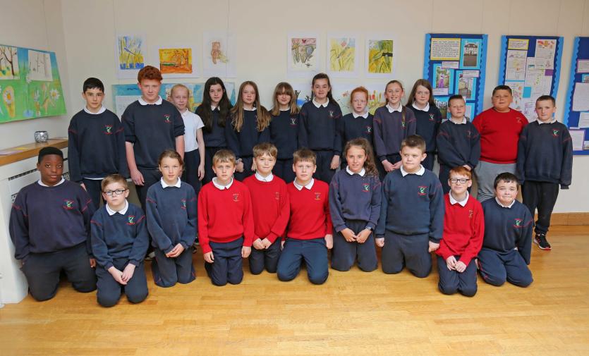 Gaelscoil Picture: Shelley Corcoran