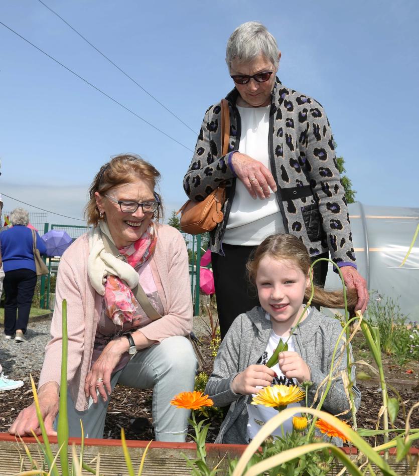 Maura Daly, Cissie Duggan. Lily Anne Duggan Finn Picture: Shelley Corcoran