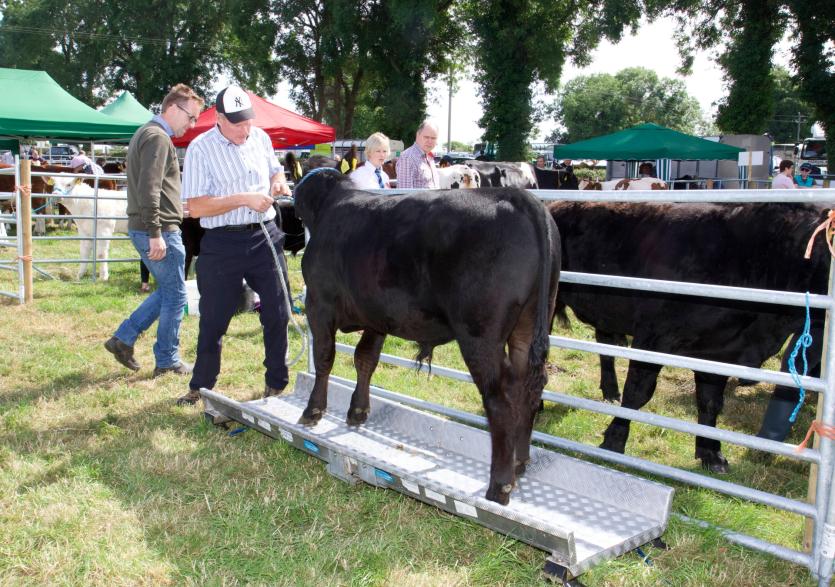 Pat Murphy and Sean Kilkenny from the Irish Angus Council. PICTURE: MICHELLE GHEE.