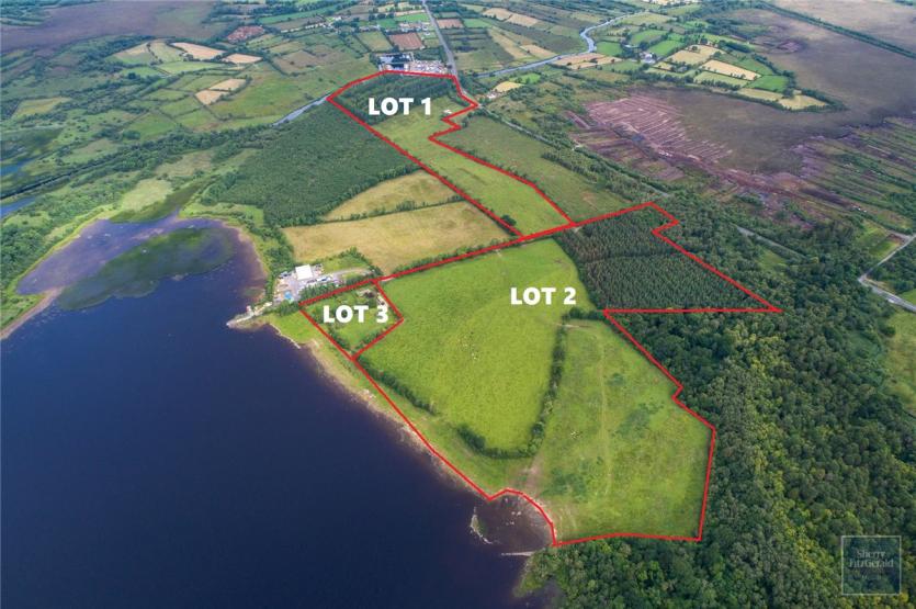 Sherry FitzGerald McGill selling 78 acres of prime agricultural lands in Longford auction