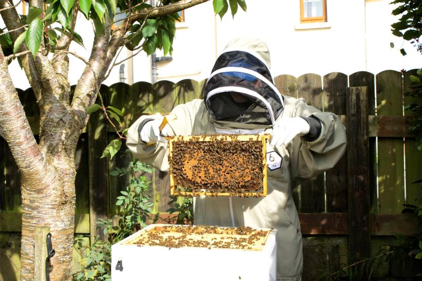 Robert Ghee doing a hive inspection. PICTURE: MICHELLE GHEE.