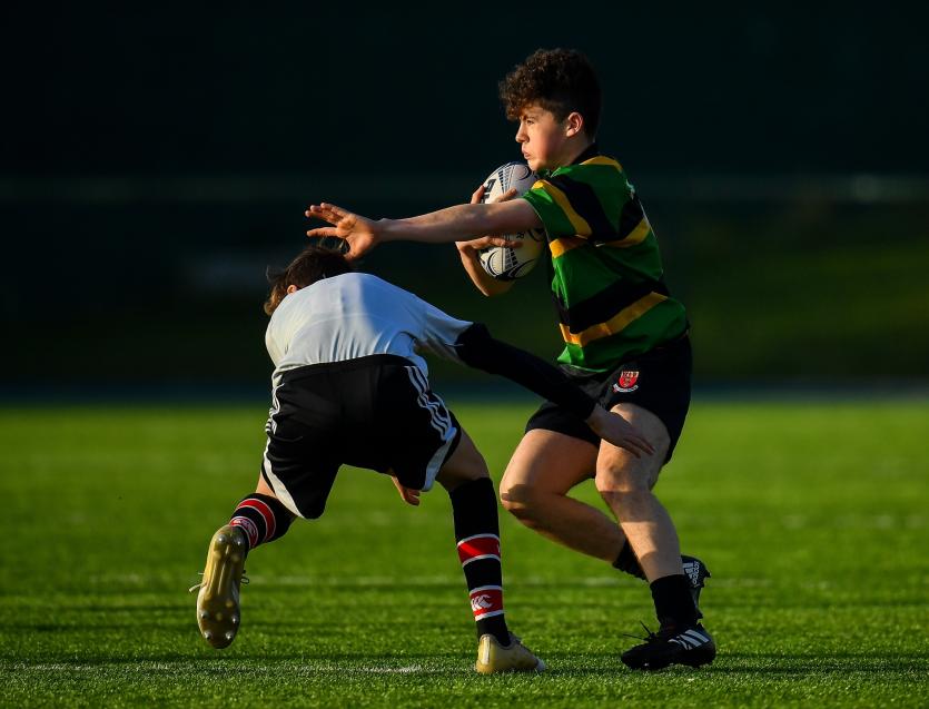 Moyne Community School triumph in Leinster Schools Rugby Junior Development Shield Final 