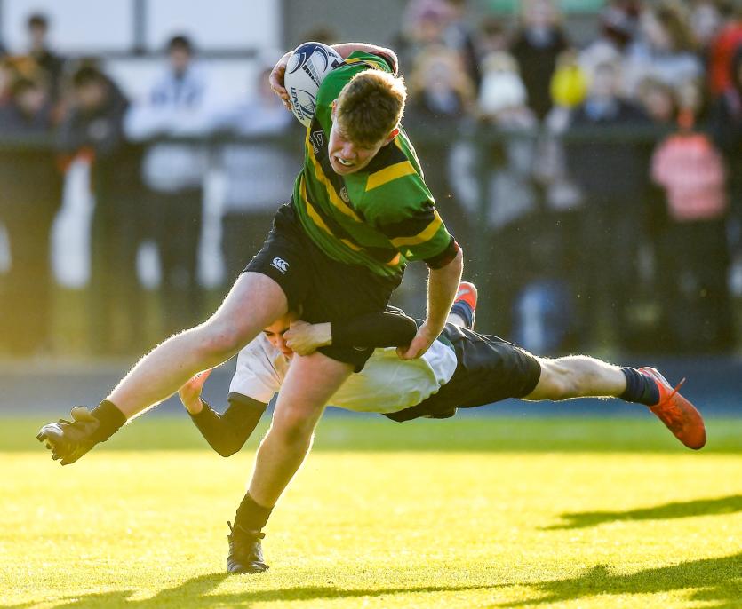 Moyne Community School triumph in Leinster Schools Rugby Junior Development Shield Final 