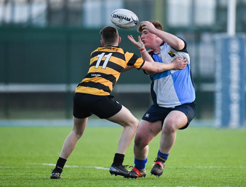 Moyne Community School suffer defeat in Leinster Schools Rugby Senior Development Shield Final