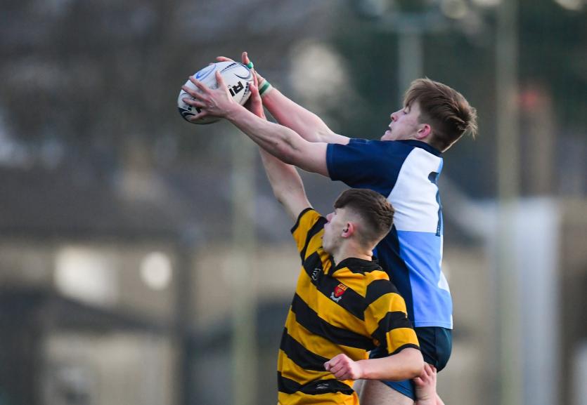 Moyne Community School suffer defeat in Leinster Schools Rugby Senior Development Shield Final