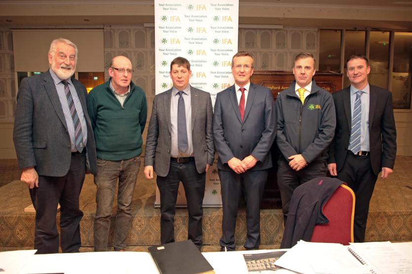 Adrian Leddy and John O'Hanlon  IFA Exec, Gavin White Chair, Tim Cunnan President,  Eoin Johnston Sec, Nigel Redaghan Picture: Shelley Corcoran