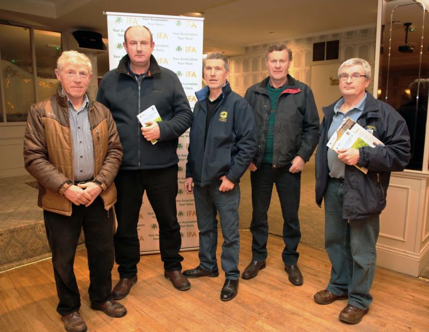 Gerard Belton, Aidan Baxter, Luke Casey, Thomas Doyle, James Belton Picture: Shelley Corcoran