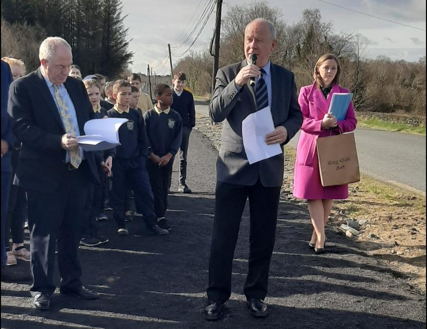 Paddy Mahon, Longford county council