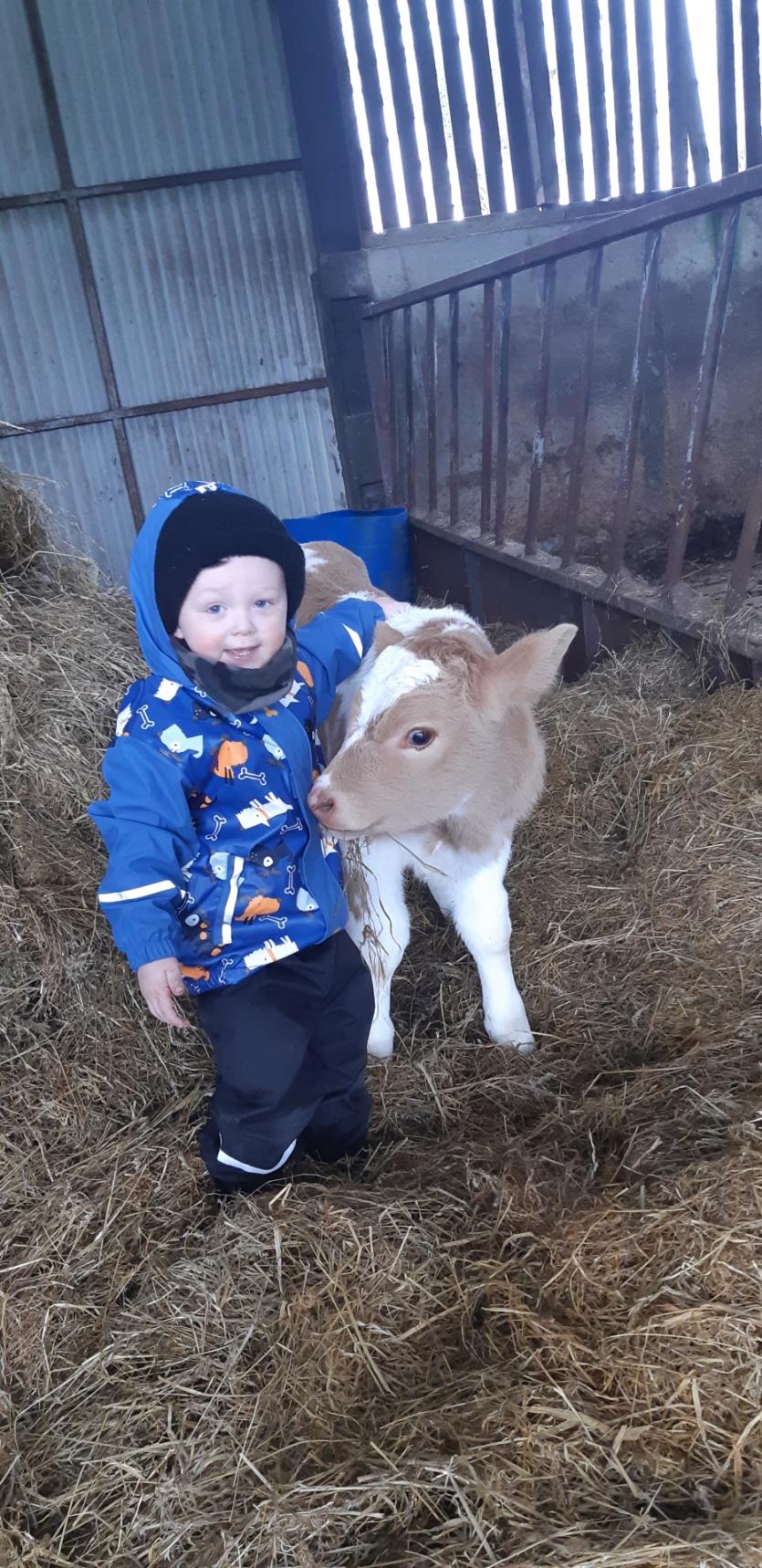 GALLERY 2 | Hi Grandparents! Sending very special greetings to loved ones across county Longford