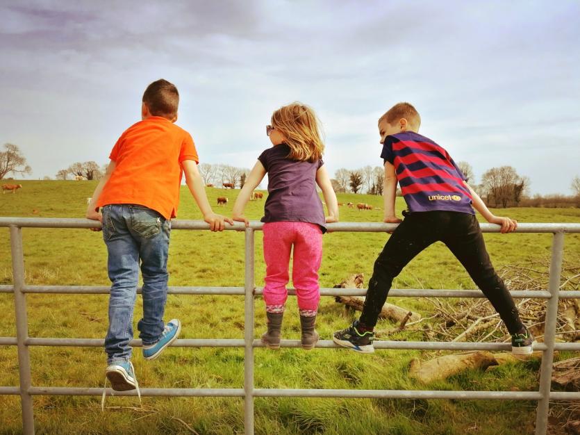 GALLERY 1 | Rise to the 2km challenge and capture why you Love Your Home