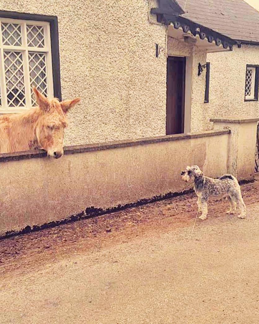 GALLERY 3 | A selection of Longford County Council and Longford Leader 'Love Your Home' photography entries