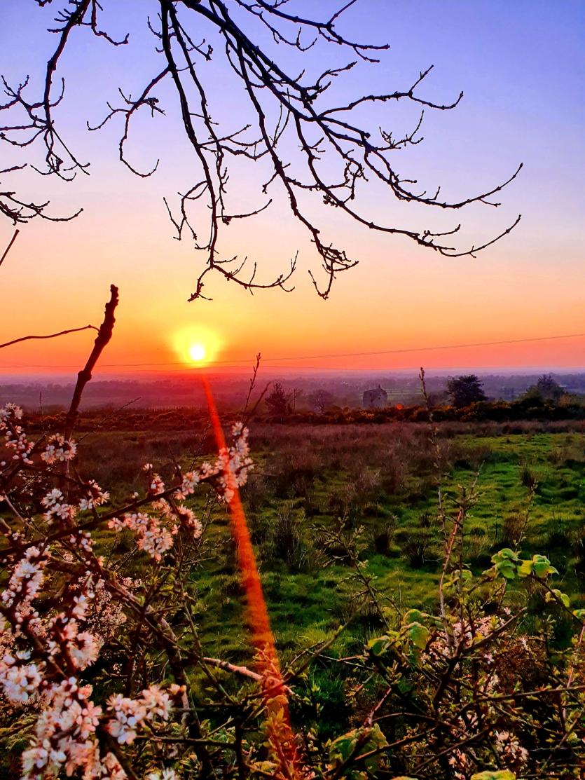 GALLERY 3 | A selection of Longford County Council and Longford Leader 'Love Your Home' photography entries
