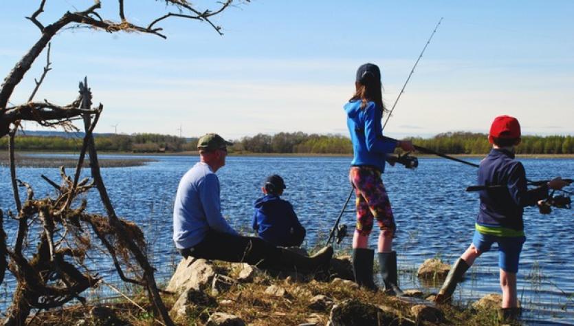 GALLERY 4 | A  nice selection of Longford County Council and Longford Leader 'Love Your Home' photography entries