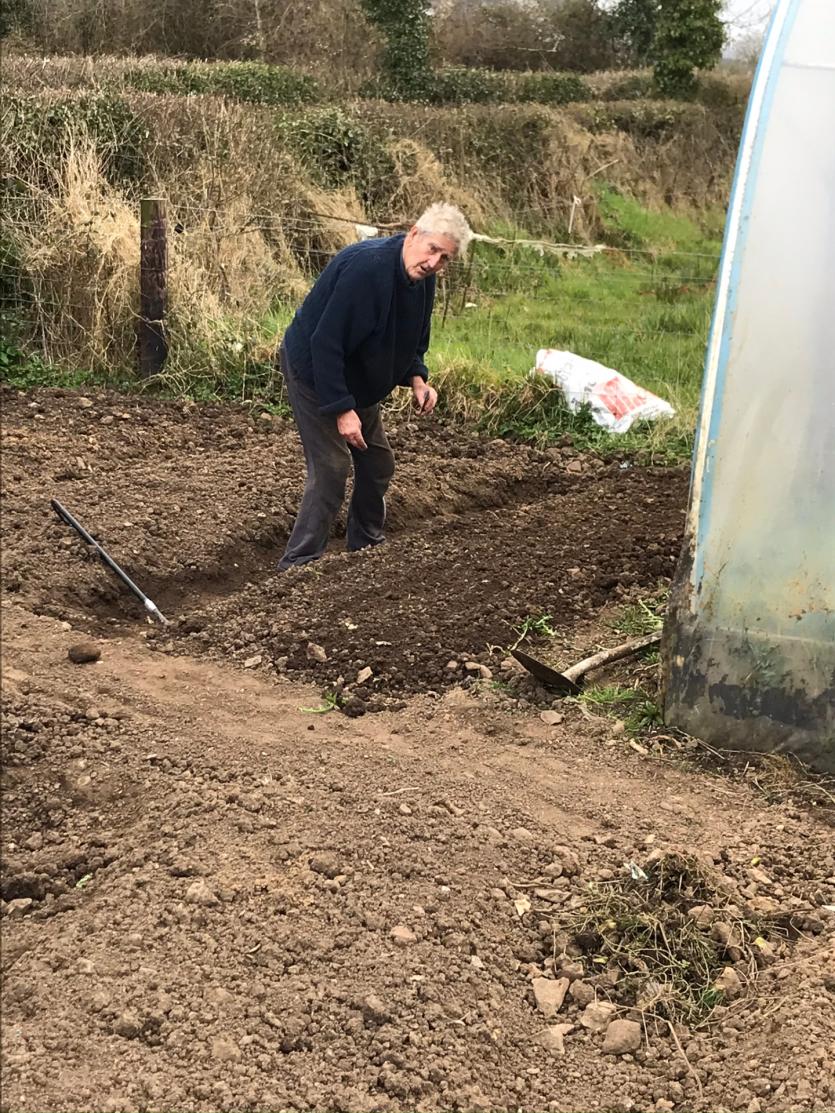 Gallery 5 | Longford folk get creative while cocooning and staying within 2km of where they live