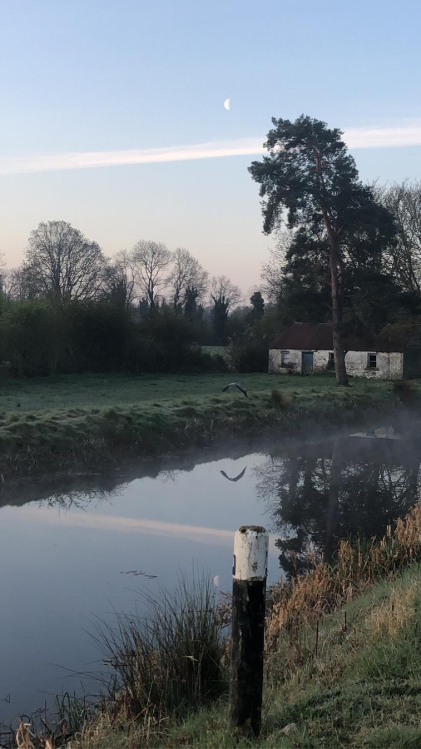 Gallery 5 | Longford folk get creative while cocooning and staying within 2km of where they live