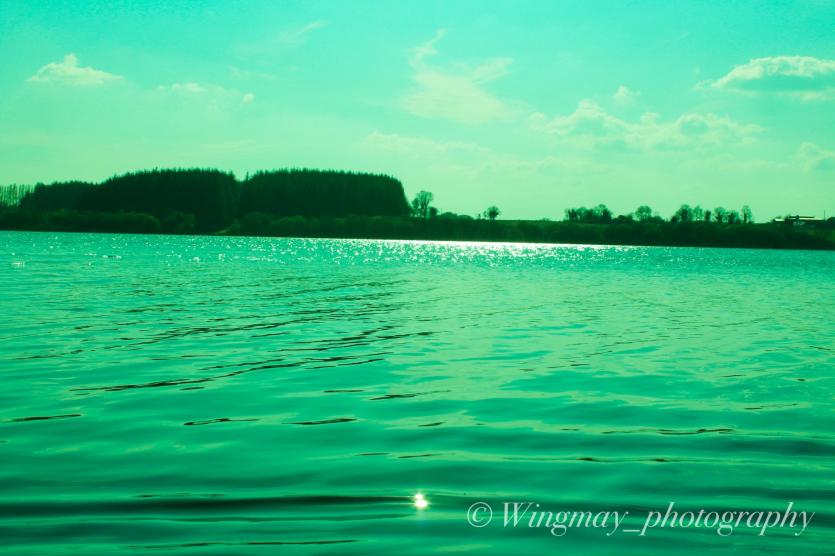 Gallery 6 | Love Your Home photography competition highlights beauty of Longford