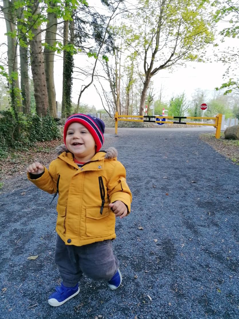 Gallery 6 | Love Your Home photography competition highlights beauty of Longford