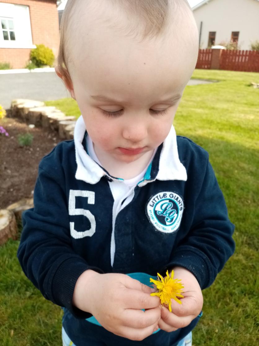 GALLERY 12 | Hi Grandparents! Sending very special greetings to loved ones across county Longford