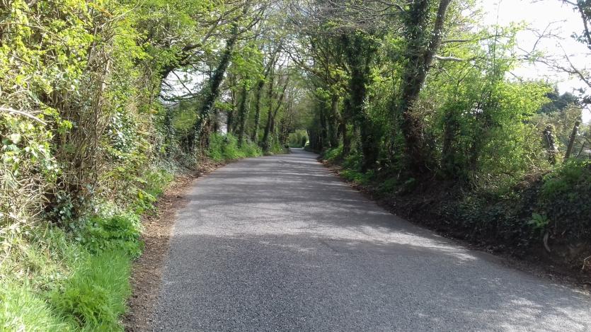 Gallery 8 | Longford County Council and Longford Leader Love Your Home photography competition