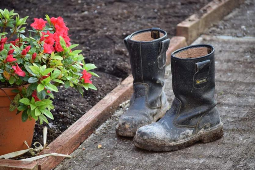 Gallery 9 | A selection of beautiful Longford images from our Love Your Home photography competition