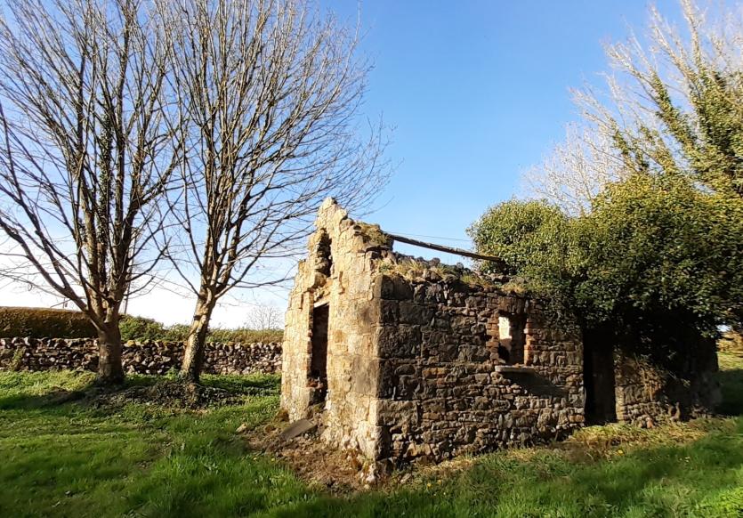 Gallery 10 | Love Your Home photography competition - the photos that make Longford folk smile 