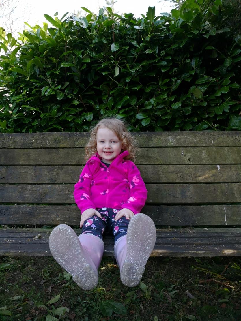 Gallery 11 | Some 'quacking' images in the Longford Love Your Home photography competition 