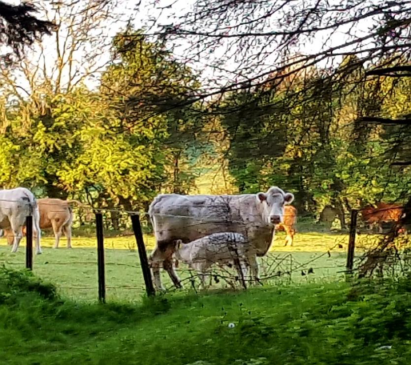GALLERY 12 | A selection of your Love Your Home photography competition images