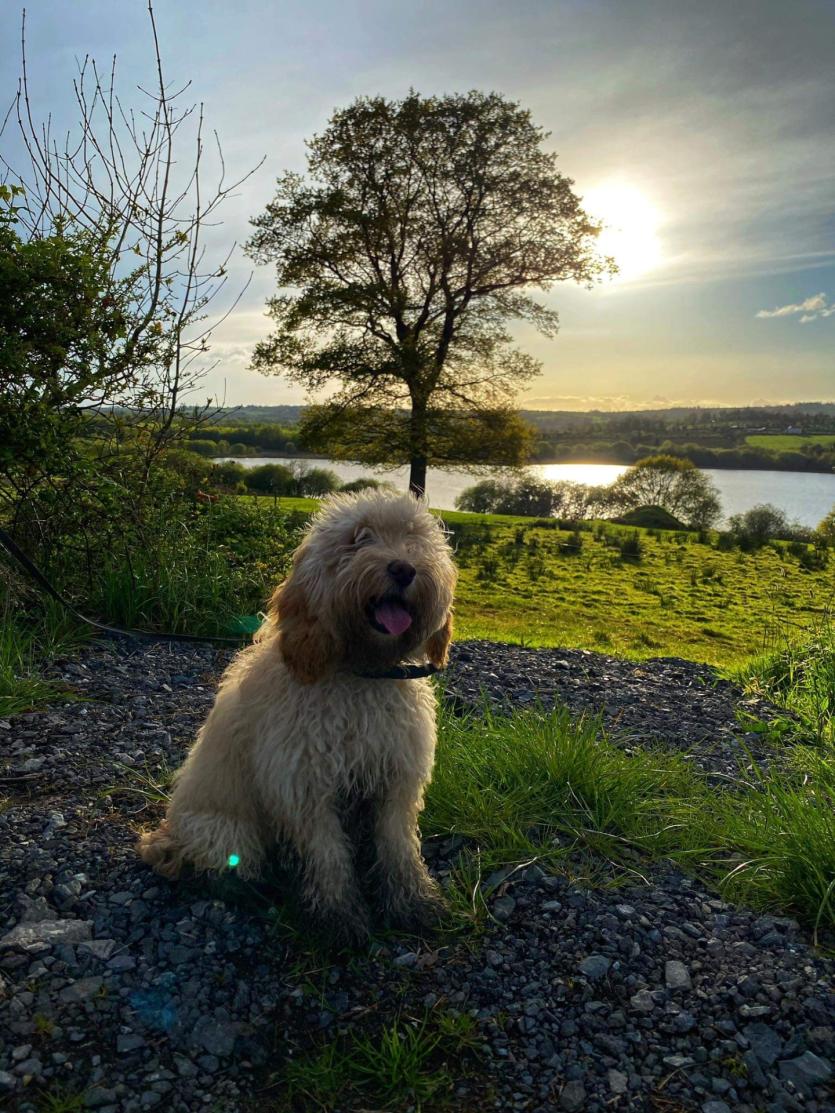 GALLERY 12 | A selection of your Love Your Home photography competition images