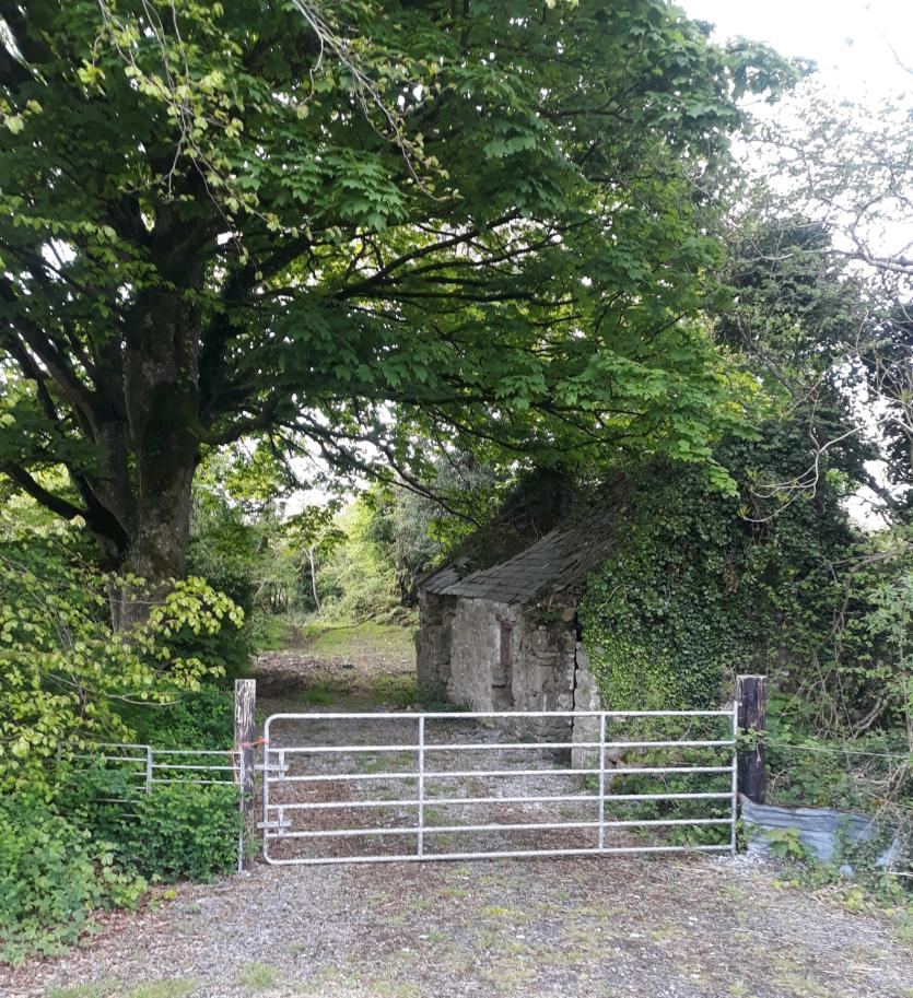 GALLERY 13 | Somewhere over the rainbow - Longford Love Your Home photography competition