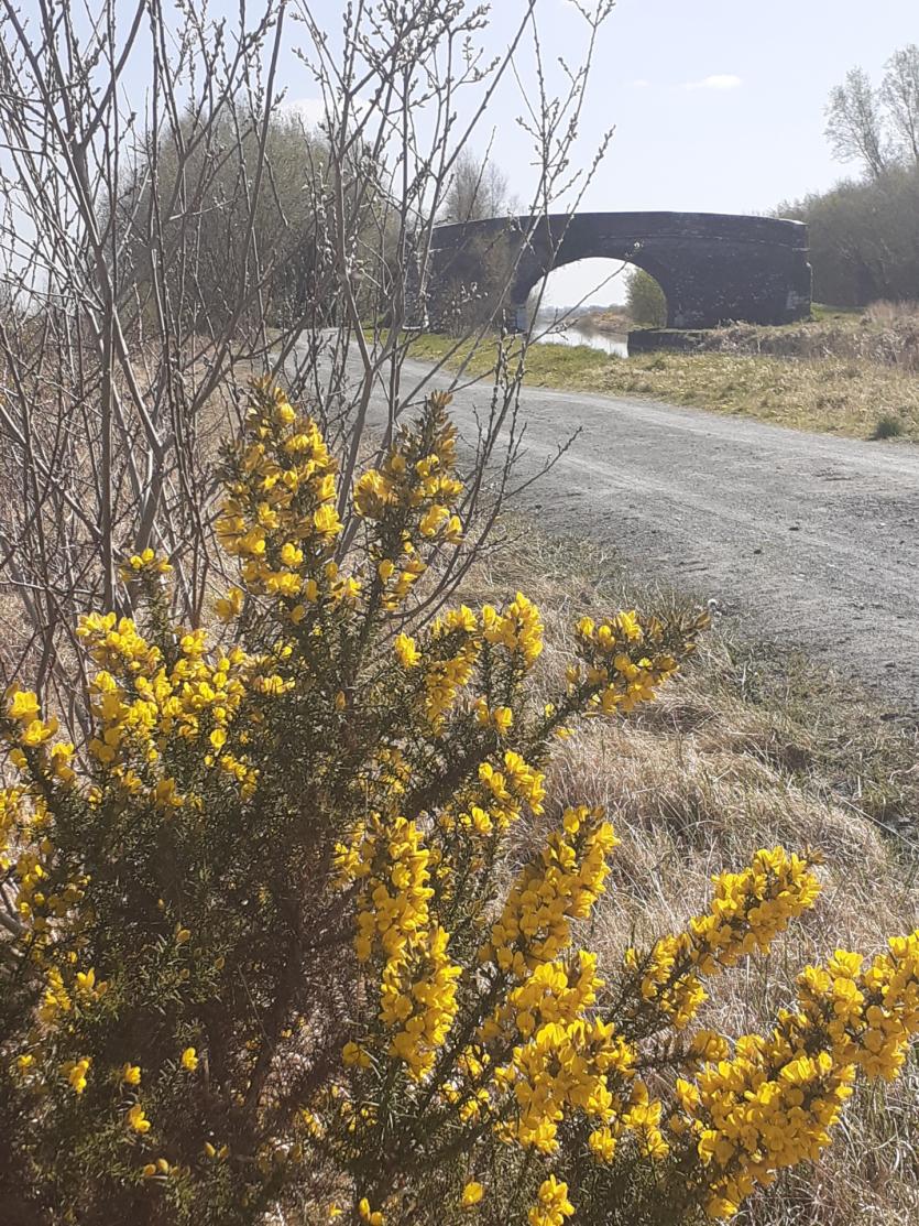 GALLERY 13 | Somewhere over the rainbow - Longford Love Your Home photography competition