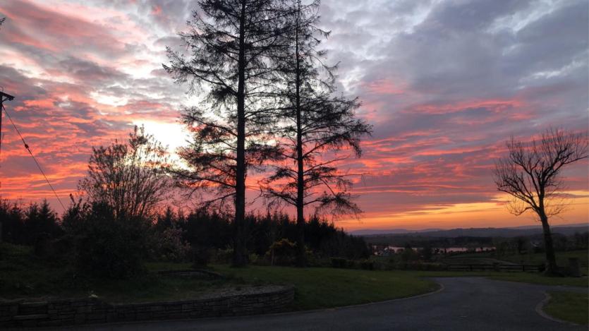 GALLERY 14 | Swanning around - Longford Love Your Home photography competition