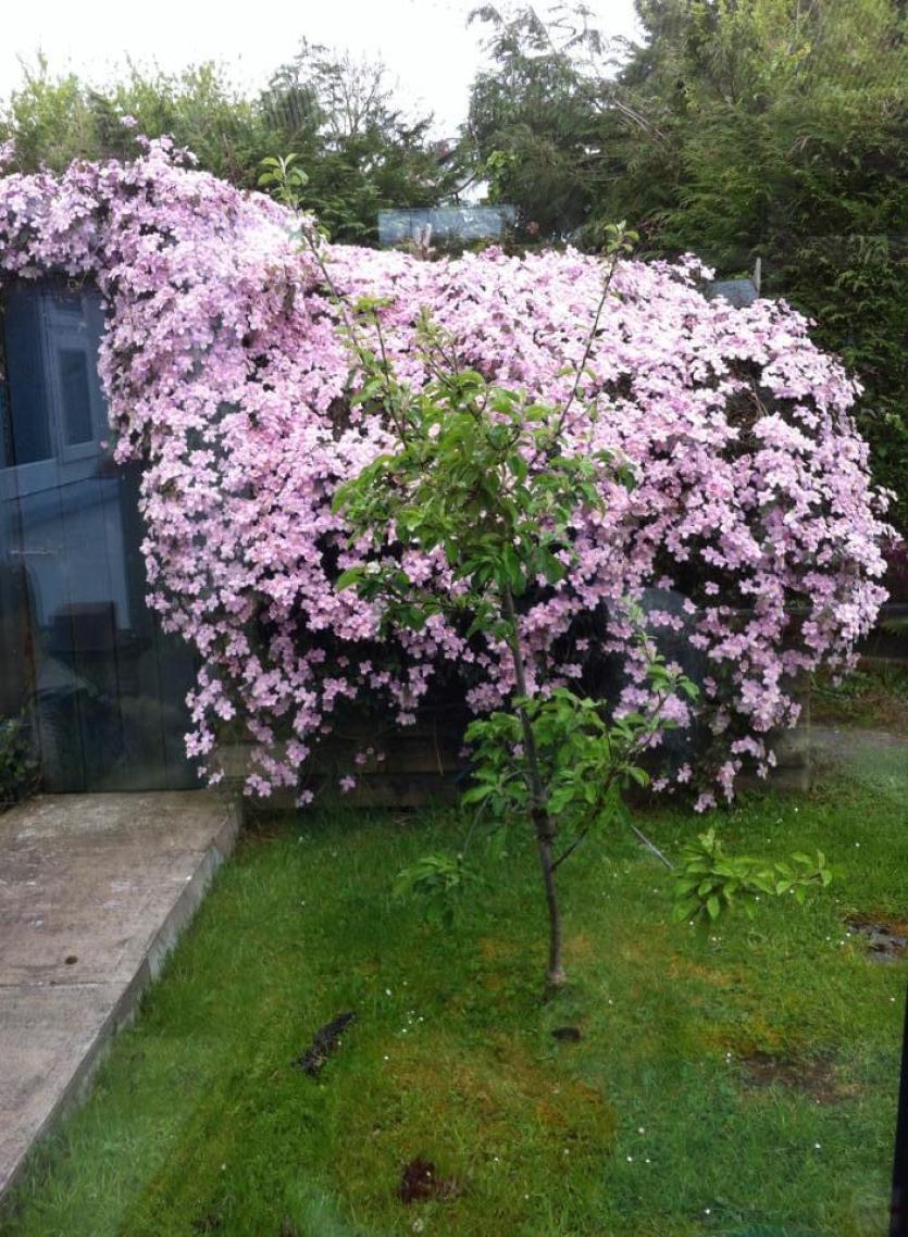 GALLERY 16 | Longford County Council and Age Friendly Alliance Love Your Home photography competition