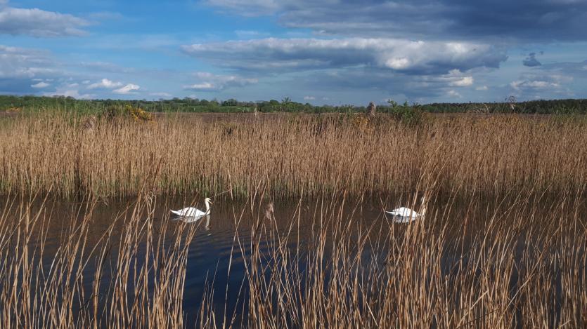 GALLERY 18 | Beautiful images in Longford Love Your Home photography competition