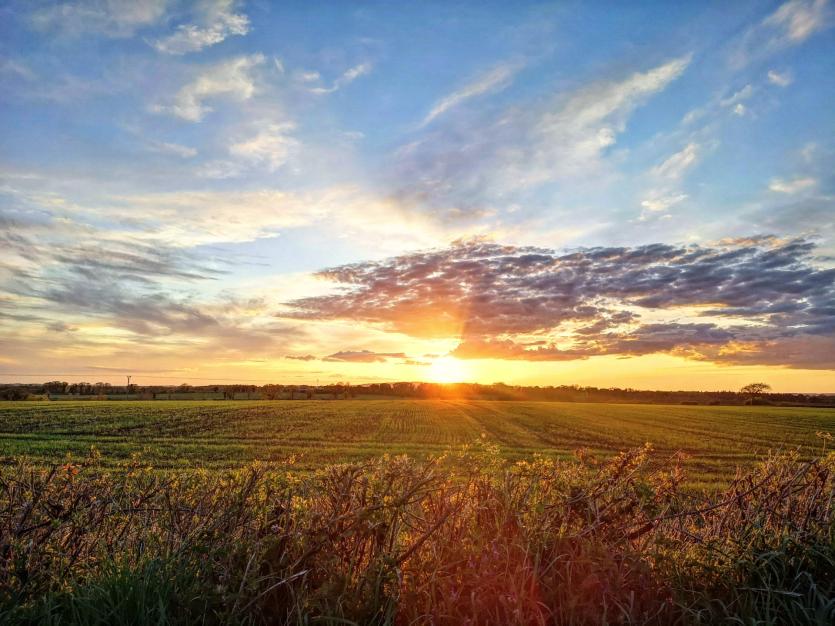 GALLERY 18 | Beautiful images in Longford Love Your Home photography competition