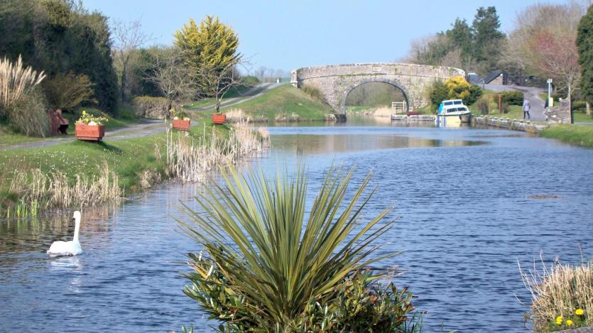GALLERY 19 | The Eyes of the Tiger! Longford Love Your Home photography competition 