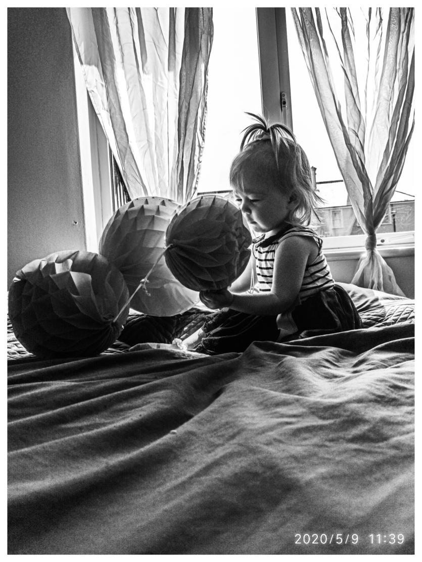 GALLERY 19 | The Eyes of the Tiger! Longford Love Your Home photography competition 