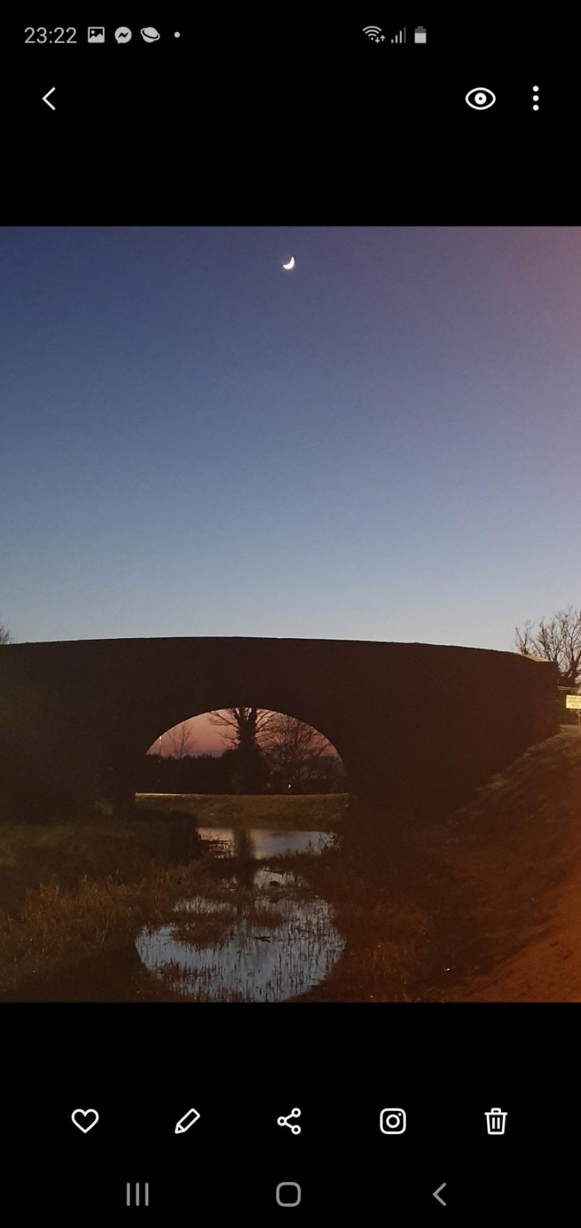 GALLERY 19 | The Eyes of the Tiger! Longford Love Your Home photography competition 