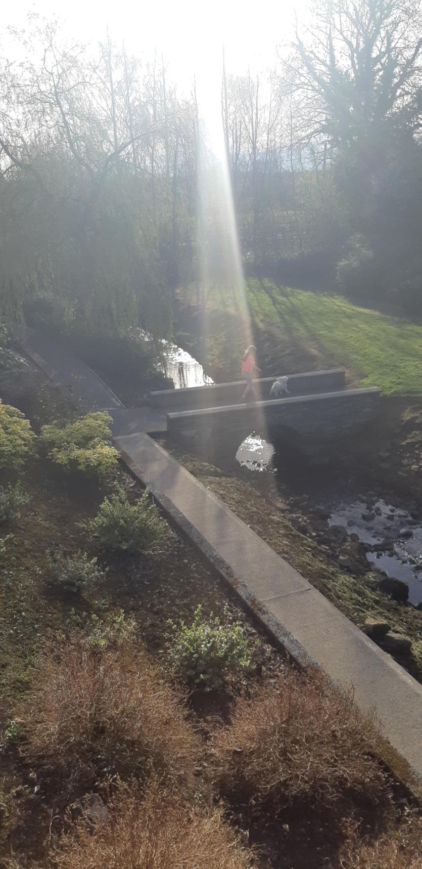 GALLERY 19 | The Eyes of the Tiger! Longford Love Your Home photography competition 