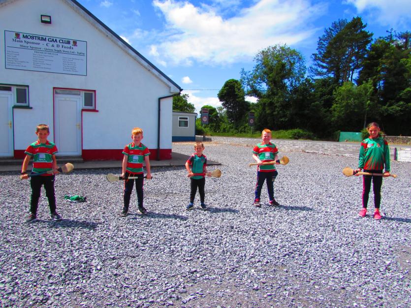 Top hurling stars lend their support to Wolfe Tones 30 Hour Ball Wall Challenge in aid of Longford Hospice