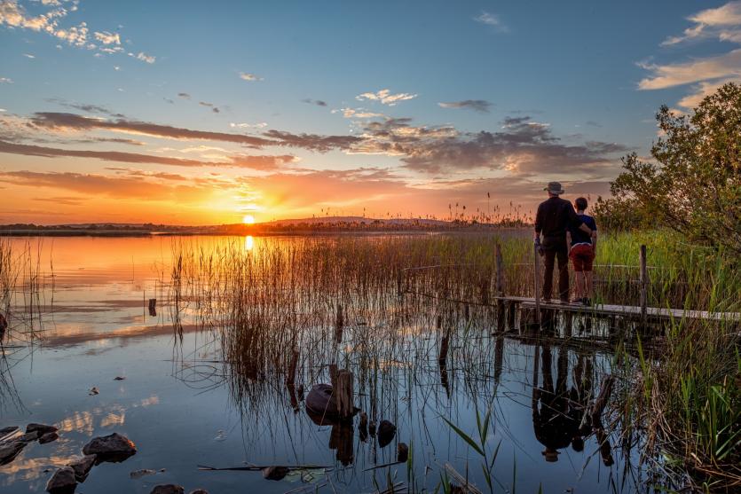 GALLERY 20 | A selection of Longford Love Your Home photography competition entries
