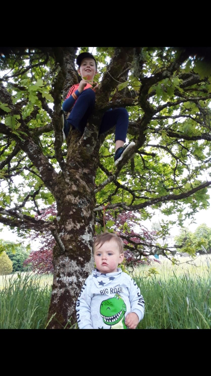GALLERY 20 | A selection of Longford Love Your Home photography competition entries
